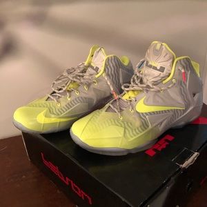 Lebron James Nike Basketball shoes